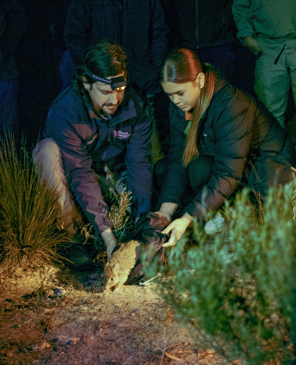 Max Barr, Marna Banggara Project Manager, and Hayley Humes release a brush-tailed bettong into its new home in Dhilba Guuranda-Innes National Park. © WWF-Australia / thinkMammoth