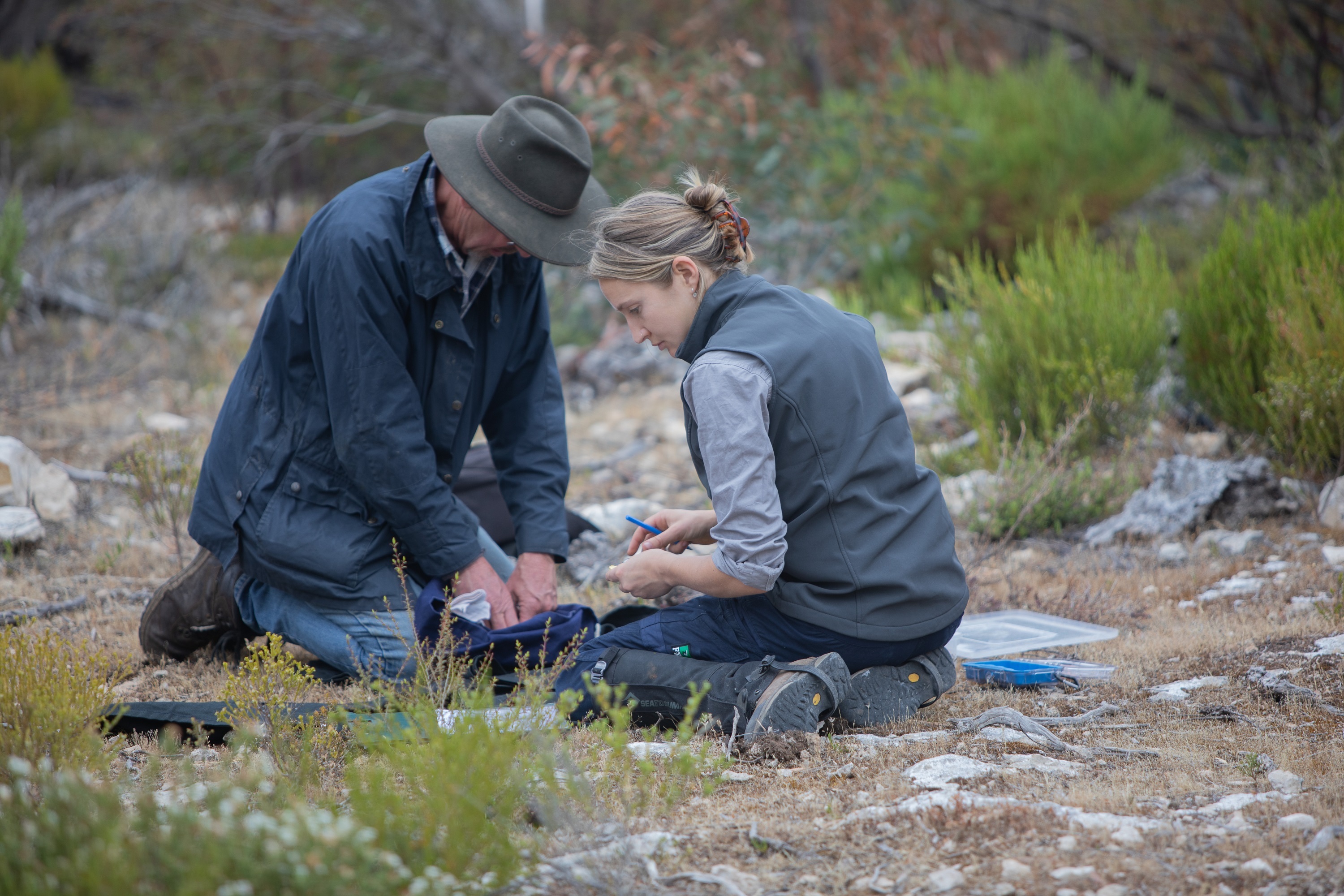 University of Adelaide Associate Professor Dr David Taggart and Northern and Yorke Landscape Board Project Ecologist Claire Hartvigsen-Power measure and weigh a yalgi. Credit: NYLB / Daniel Clarke